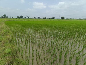  Land – Exterior View View at Gajwel - for Sale