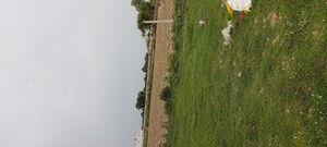 Plot Area in  Plot at Dhanauli – for Sale