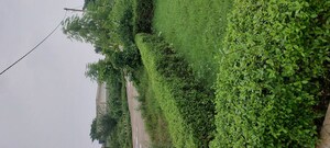  Plot – Garden View at Nh 3 - for Sale