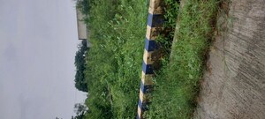  Plot For Sale in Nh 3