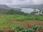 40000 Sq.Ft. Plot in Bhor