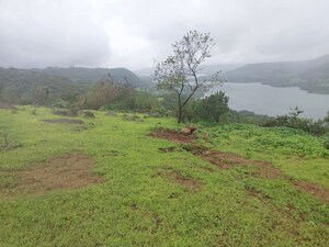Plot Area in  Plot at Bhor – for Sale