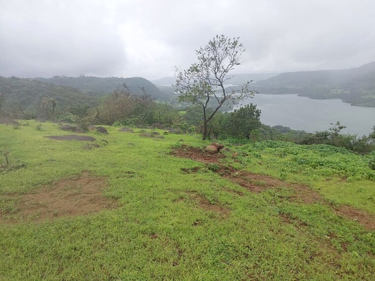 undefined, bhor  40000 Sq.Ft. Plot In Bhor Pune 10644796
