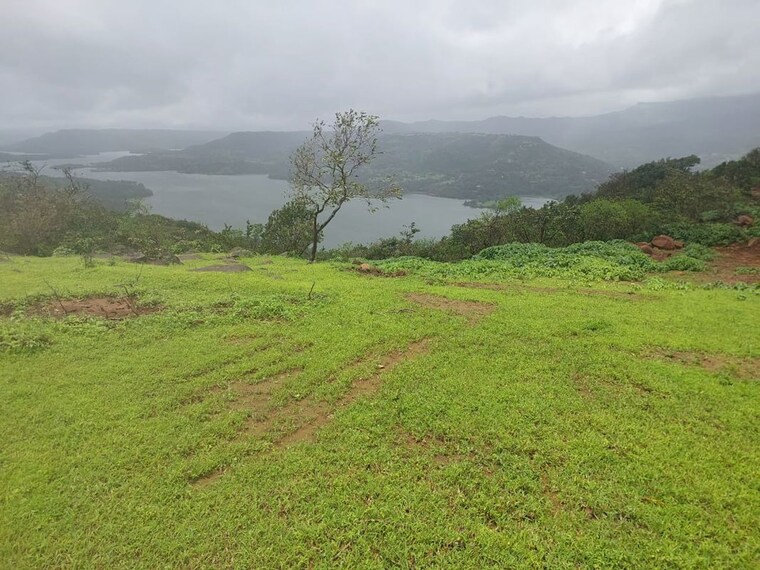 Garden, bhor  40000 Sq.Ft. Plot In Bhor Pune 10644796