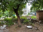 220 Sq.Yd. Plot in Sector 42