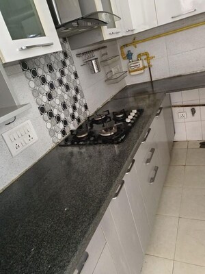 Kitchen in 3 BHK Apartment at Tulip Orange, Sector 70 – for Rent