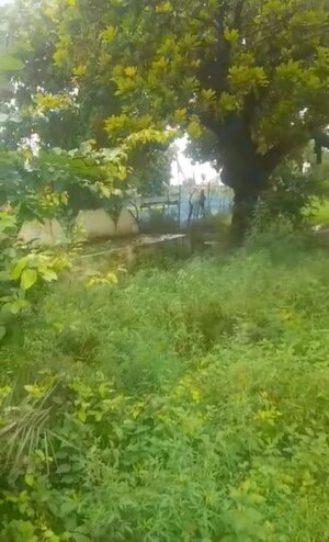  Plot For Sale in Juggaur