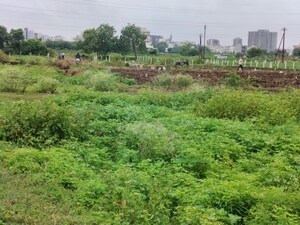 Plot Area in  Plot at Adgaon – for Sale