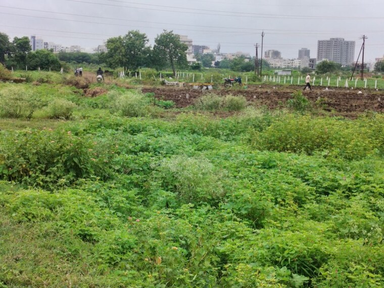 undefined, adgaon  60 Sq.Yd. Plot In Adgaon Nashik 10645248