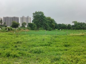 Plot Area in  Plot at Adgaon – for Sale