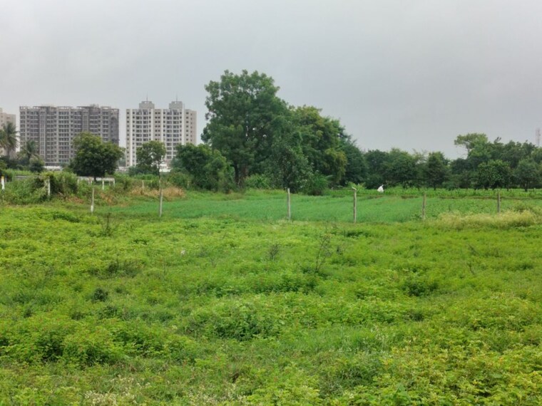 undefined, adgaon  60 Sq.Yd. Plot In Adgaon Nashik 10645248