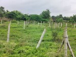60 Sq.Yd. Plot in Adgaon