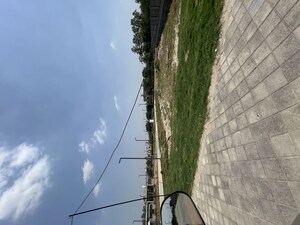   Plot at TDI City Kundli, Kundli – for Sale