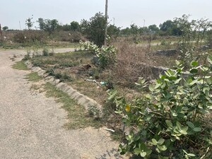  Plot For Sale in TDI City Kundli, Kundli