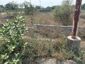 Plot Area in  Plot at TDI City Kundli, Kundli – for Sale