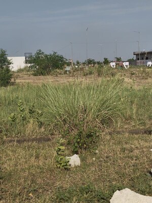 Plot Area in  Plot at Sector 18 Yamuna Expressway – for Sale