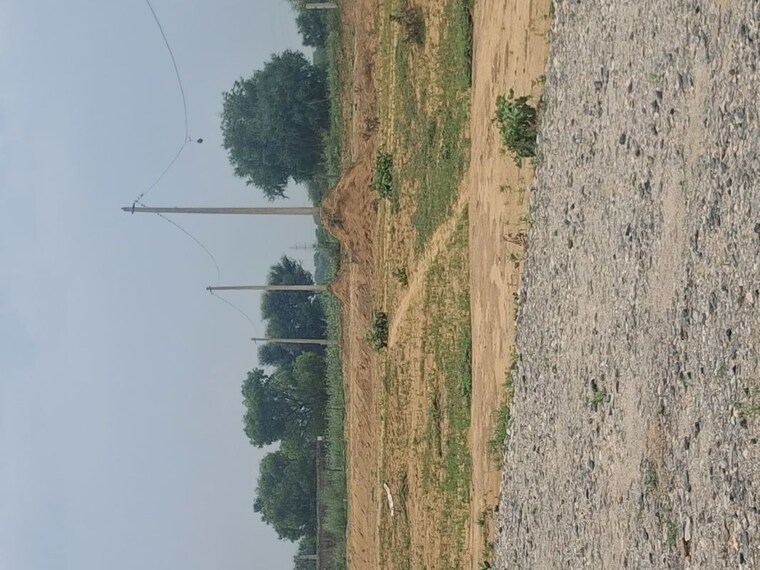 Garden, sohna  80 Sq.Yd. Plot In Sohna Gurgaon 10645471