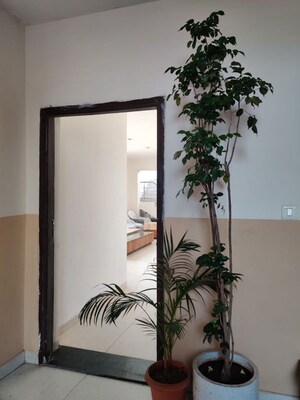 4 BHK Penthouse – Entrance View at Lohgarh - for Sale