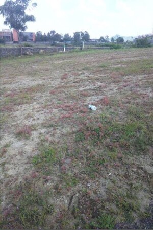  Land For Sale in Prem Sagar Chinchwad, Chinchwad