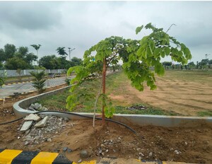  Plot For Sale in Mahindra World City Jaipur, Kalwara