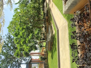 3 BHK Apartment For Rent in Trendset Jayabheri Elevate, Madhapur