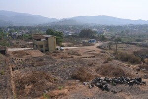 Plot Area in  Plot at Tarun Plantations Company, Pen – for Sale