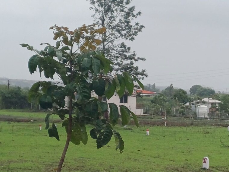 Garden, nasik road  2160 Sq.Ft. Plot In Nasik Road Nashik 10646424