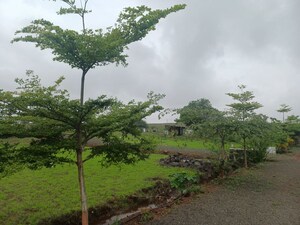 Plot Area in  Plot at Nasik Road – for Sale