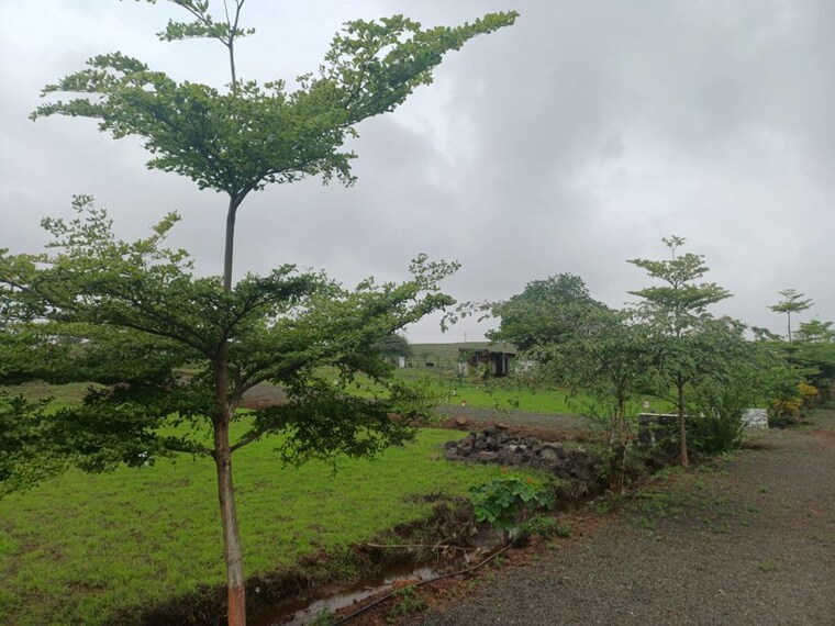 undefined, nasik road  2160 Sq.Ft. Plot In Nasik Road Nashik 10646424