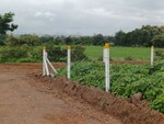 1000 Sq.Yd. Plot in Nashik Road