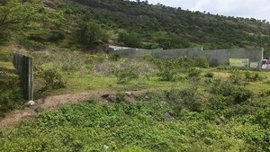  Plot For Sale in Kesnand