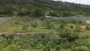 Plot Area in  Plot at Kesnand – for Sale