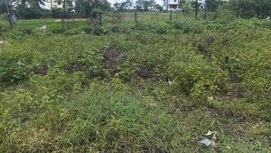 Plot Area in  Plot at Kesnand – for Sale