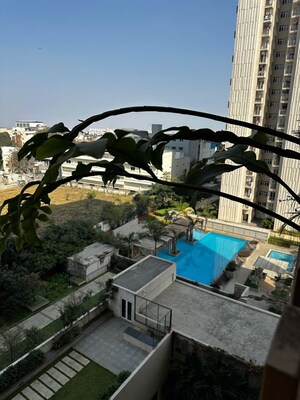 Gym in 3 BHK Apartment at Mahindra Windchimes, Bannerghatta Road – for Rent