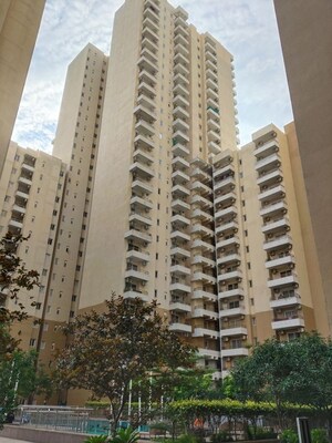 3.5 BHK Apartment For Rent in Wave Amore, Sector 32