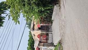 2.5 BHK Independent House For Sale in Patel Nagar 2
