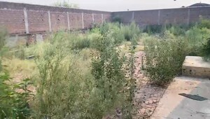  Industrial Plot – Exterior View View at Naveen Nagar - for Sale