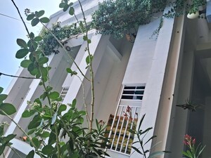  Apartment For Sale in Tadepalli