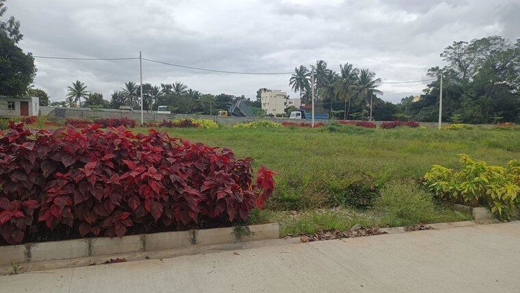 Nearby, chikkajala  2400 Sq.Ft. Plot In Chikkajala Bangalore 10647287