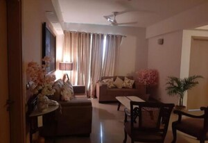 Living Room in 3 BHK Apartment at DLF New Town Heights I, Sector 90 – for Rent