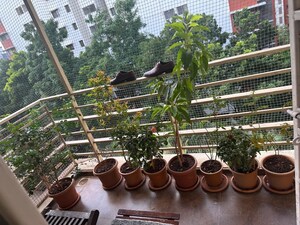 2 BHK Apartment – Exterior View View at Comfort Zone, Balewadi - for Rent