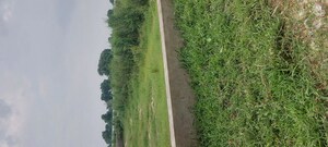 Plot Area in  Plot at Gwalior Road – for Sale