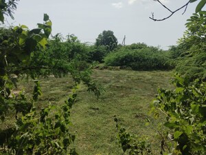  Land – Garden View at Visakhapatnam Port - for Sale