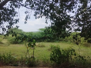 Plot Area in  Land at Visakhapatnam Port – for Sale