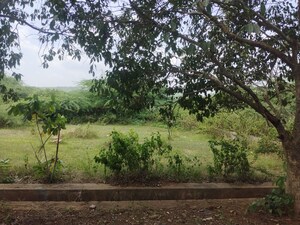 Plot Area in  Land at Visakhapatnam Port – for Sale