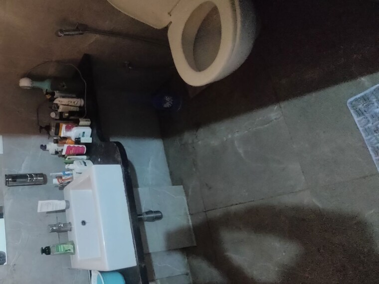 Washroom, mahindra-centralis-tower-2 2 Bedroom 650 Sq.Ft. Apartment In Pimpri Pune 10640604