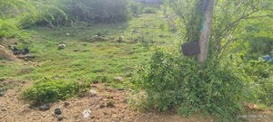 Plot Area in  Plot at Maraimalai Nagar – for Sale
