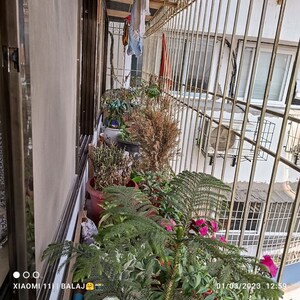 Balcony in 3 BHK Apartment at Mahaavir Rachana, Cbd Belapur Sector 15 – for Rent