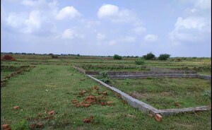 Plot Area in  Plot at Mitrol – for Sale