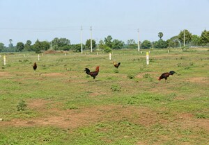  Plot For Sale in Bachupally